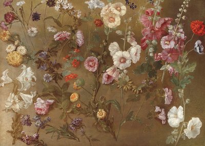 花研究的组成，包括康乃馨，枕形花，弹跳赌注，锦葵；蜀葵，非洲边缘，勿忘我 作者 风信子 Francois Rigaud