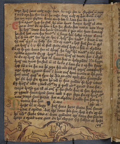 马战斗，来自Heynesbok（海因尼斯之书），16世纪上半叶 作者 冰岛学校