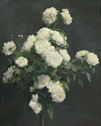 白牡丹的静物，1870年 作者 Ignace Henri Jean Fantin Latour