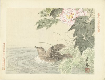 粉红色花朵中沐浴的小鸟 凯宁的花鸟素描（系列标题） Keinen kacho gafu（物体上的系列标题） 作者 青木小三郎