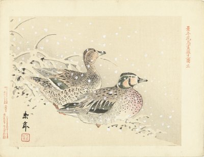 雪中的一对鸭子
Keinen 的花鸟素描（系列标题）
Keinen kacho gafu（物体上的系列名称） 作者 青木小三郎