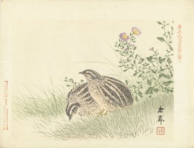 两只鹌鹑
Keinen 的花鸟素描（系列标题）
Keinen kacho gafu（物体上的系列名称） 作者 青木小三郎