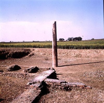 阿育王（约公元前264-223年）的柱子（照片）（另见162926）。 作者 印度人