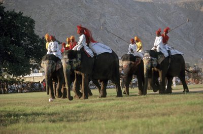 男子玩大象马球（图片） 作者 印度摄影师