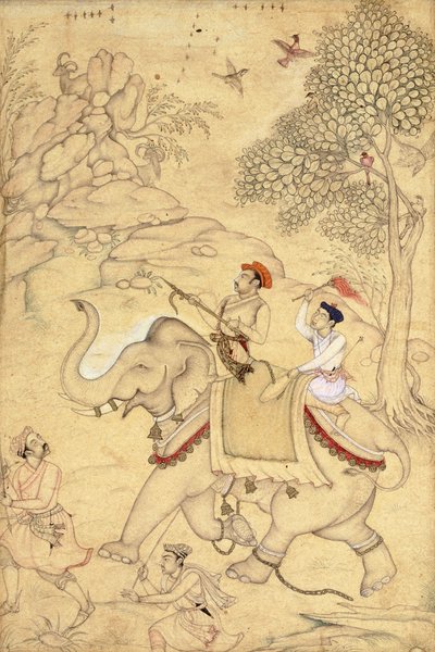 摄于1600-1650年，骑在大象身上的狩猎王子 作者 印度学校
