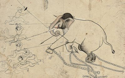 Isarda或Kotah驯象的准备图，约1720年 作者 印度学校