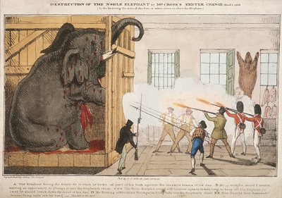 毁坏高贵的大象坐在克罗斯先生的埃克塞特变化"，1826年 作者 英格雷和马德利