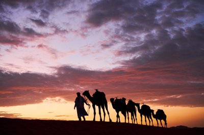 2019年，在摩洛哥梅尔祖加沙漠的厄格切比（Erg Chebbi），一名牧民牵着他的骆驼（照片 作者 艾拉·布洛克