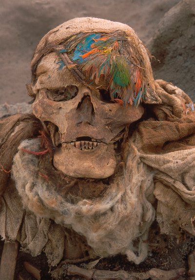 2001 年，一具新近出土的骸骨头戴羽毛头饰，这是很高地位的象征（照片） 作者 艾拉·布洛克