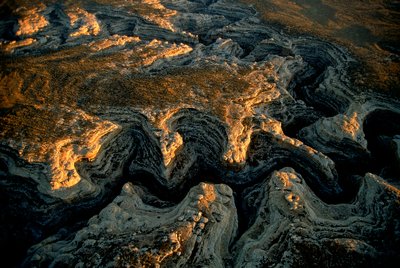 从空中俯瞰犹他州一片干涸的土地--大峡谷（Grand Gulch）为数十个小村庄提供了水源。 作者 艾拉·布洛克