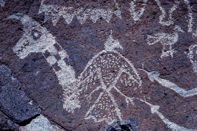 新墨西哥州的 Anasazi 岩石雕刻（岩画）。 作者 艾拉·布洛克