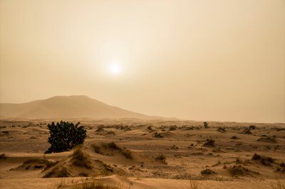 摩洛哥东南部 Erg Chebbi 沙漠中的沙丘，2014 年（照片） 作者 艾拉·布洛克