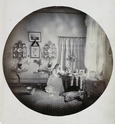 Muckross House的内部，1865年（蛋白印刷品） 作者 爱尔兰摄影师