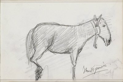 马 作者 Joseph Henry Gosschalk（拒绝归属）