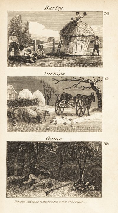 Trades in Norfolk, Regency England 作者 艾萨克·泰勒