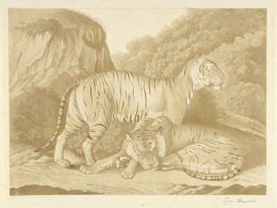 风景中的两只老虎 作者 Isaac van Haastert（艺术家签名）
