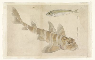 两条鱼：鲱鱼（？ 作者 石川喀山