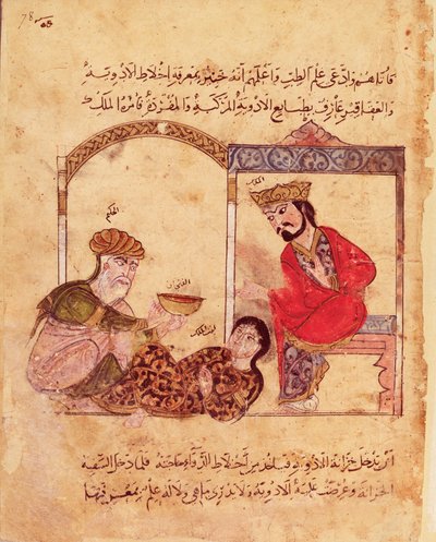 阿拉贝女士3465 fol.78来自Kalila和Dimna的医疗咨询 作者 伊斯兰学校