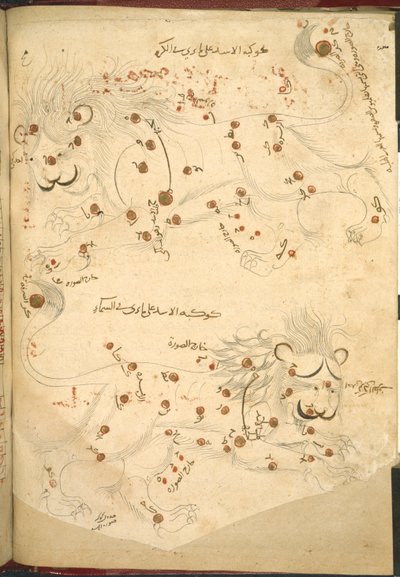 或 5323 f.45v 两只狮子，插图选自阿卜杜勒-拉赫曼-苏菲（Abd al-Rahman al-Sufi）的《恒星描述》（纸张上的墨水和彩色）。 作者 伊斯兰学校