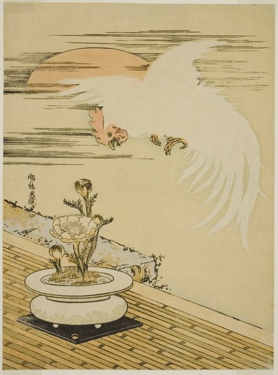 公鸡飞越阿多尼斯之壶 作者 oda田K
