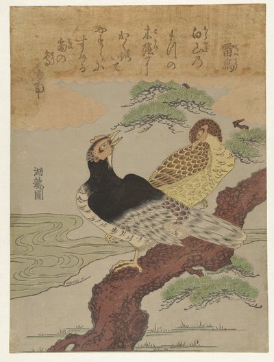 雷鸟
雷鸟 作者 oda田K