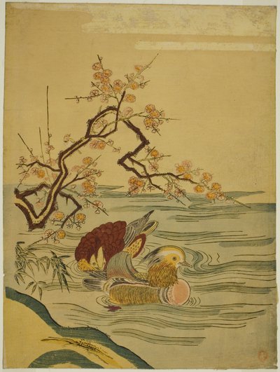 鸳鸯在梅枝下游泳 作者 oda田K