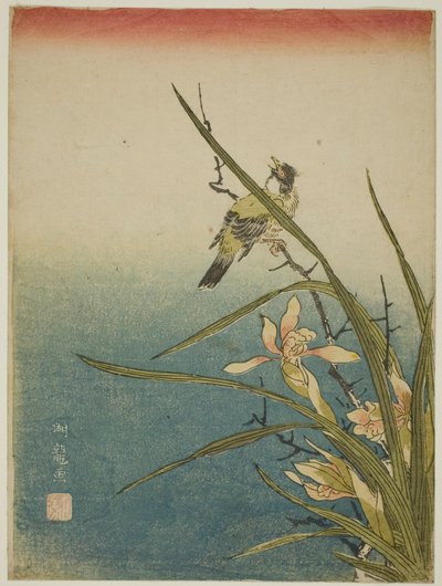 兰花和鸟 作者 oda田K