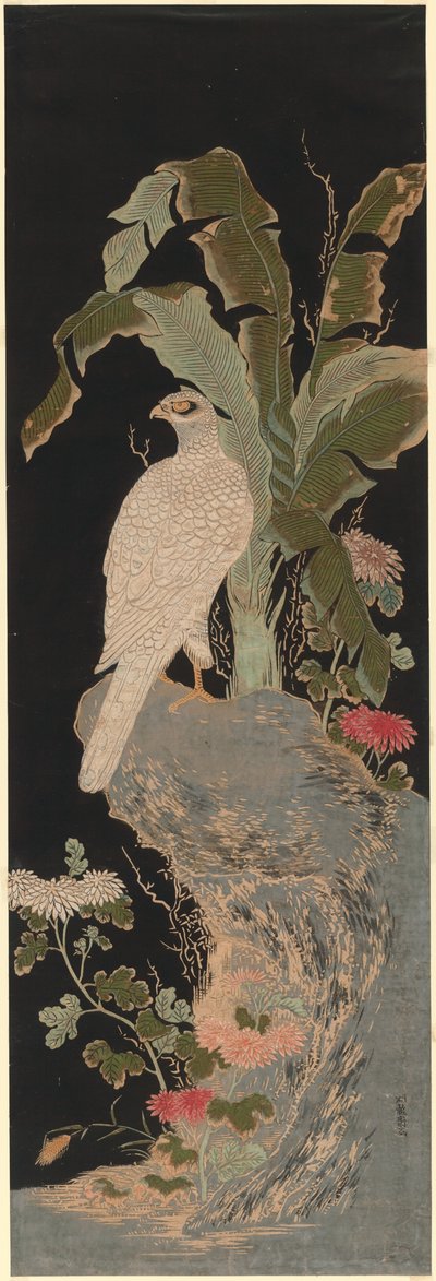 白隼 作者 oda田K