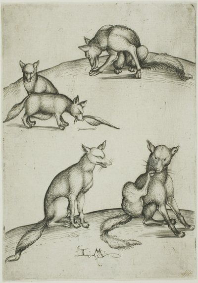 五只狐狸 作者 小艾希拉（Israhel van Meckenem）