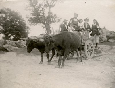 牛车上的一家人，意大利撒丁岛，约 1910 年 作者 意大利摄影师