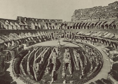 Flavian Amphitheatre或Coliseum与新的发掘 作者 意大利摄影师