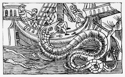 海蛇，从“北方的说明“，由奥劳斯·马格努斯（1590至57年）出版于罗马，1555 作者 意大利学校