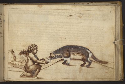 Add.82955, f.193 Cherub and a creature. , from Historia Animalium, (包括 245 幅不同种类动物和神话生物的笔墨图画，每幅都附有说明。) 1595 作者 意大利学校