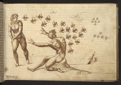 添加：82955，f.59 蜜蜂（"猿"）。82955，f.59 蜜蜂（"猿"），选自 Historia Animalium，（由 245 幅不同种类的动物和神兽的笔墨画组成，每幅画都附有说明。 作者 意大利学校