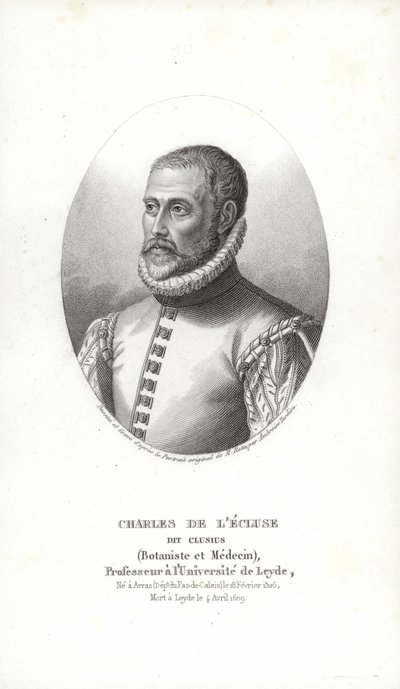Carolus Clusius 作者 意大利学校