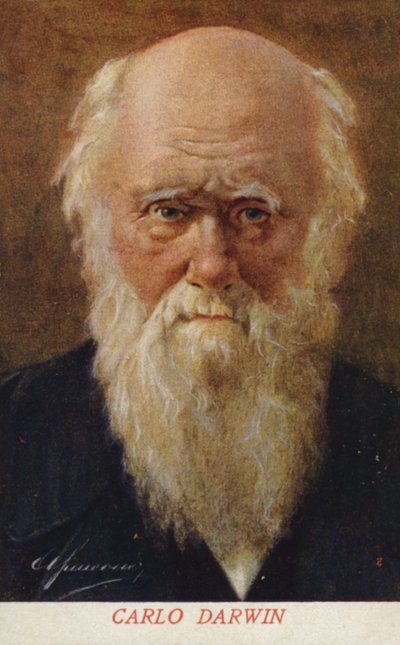 查尔斯・达尔文（1809-1882），英国博物学家（彩色石版画） 作者 意大利学校