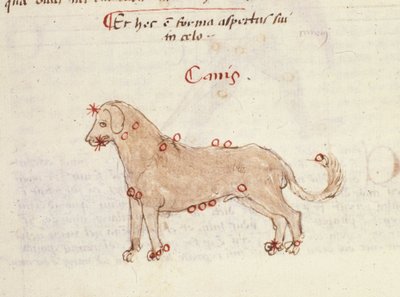 狗星座（Canis）。 Biasino da Parma (Blaise de Parma) (1425-1457) 的《天文学》微型图 作者 意大利学校