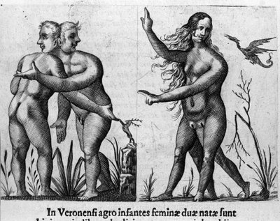 Different types of human monsters: a man with double bodies and heads and a woman with four legs and two sexes. Engraving from “De monstrorum natura, causis et differentiis” by Fortunio Liceti (1577-1656), Italian scientist. 1646 作者 意大利学校