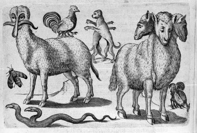 Different types of monstrous animals, with multiple bodies or an abnormal amount of limbs. Engraving from “De monstrorum natura, causis et differentiis” by Fortunio Liceti (1577-1656), Italian scientist. 1646 作者 意大利学校