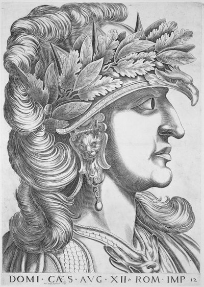 Domitian Caesar（公元51-96），1596年 作者 意大利学校