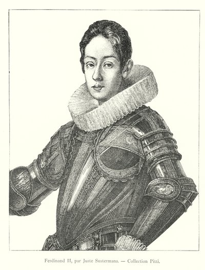斐迪南二世，由Juste Sustermans提供，皮蒂收藏（雕刻）。 作者 意大利学校