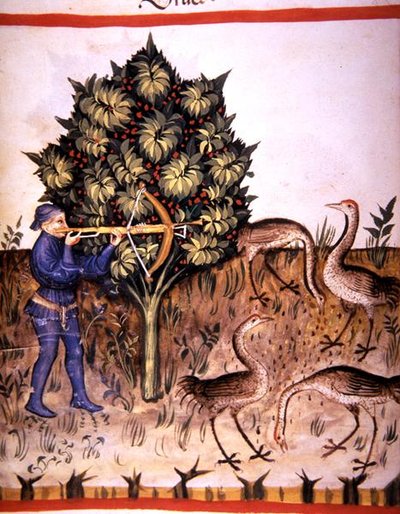 Fol.70v 猎鹤，来自《Tacuinum Santiatis Codex Vindobonensis》（牛皮纸）的插图 作者 意大利学校