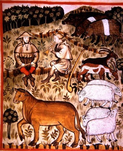 第71页 阉割的动物，来自《Tacuinum Santiatis Codex Vindobonensis》（牛皮纸）的插图 作者 意大利学校