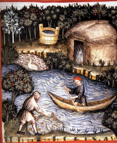 第82页 鲜鱼，来自《Tacuinum Santiatis Codex Vindobonensis》（牛皮纸）的插图 作者 意大利学校