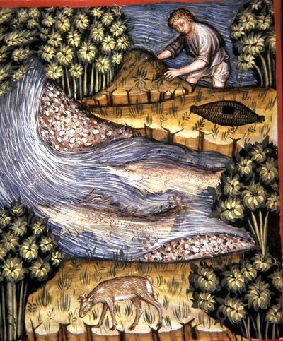 84v页琥珀，插图来自《Tacuinum Santiatis Codex Vindobonensis》（牛皮纸）。 作者 意大利学校