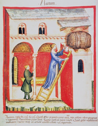 Fol.85v醋，Tacuinum Santiatis Codex Vindobonensis的插图 作者 意大利学校