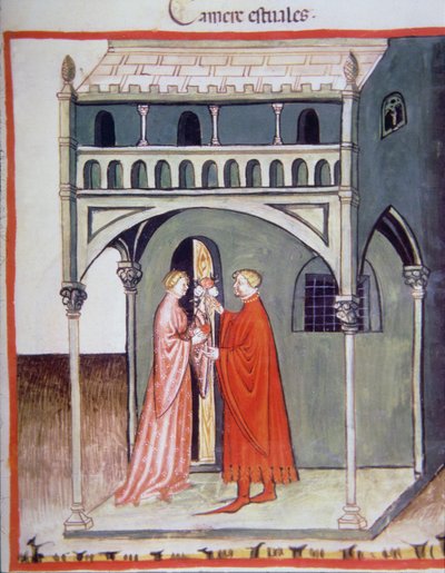 Fol.97r夏季室，来自Tacuinum Santiatis Codex Vindobonensis的插图 作者 意大利学校
