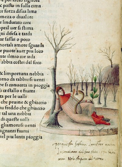福尔。 52r 选自彼特拉克的《Canzoniere e Trionfi》，c.1470 作者 意大利学校