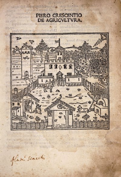 《De Agricultura》扉页插图 作者 意大利学校