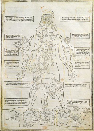 插图来自威尼斯“Fassiculus Medicinae” 作者 意大利学校